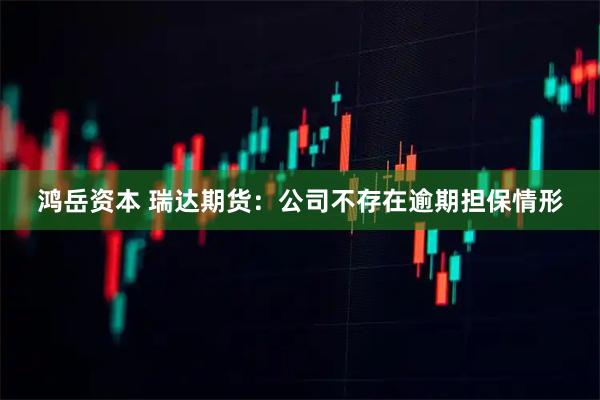 鸿岳资本 瑞达期货：公司不存在逾期担保情形