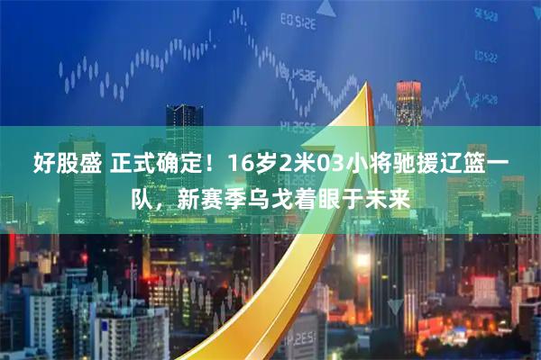 好股盛 正式确定！16岁2米03小将驰援辽篮一队，新赛季乌戈着眼于未来