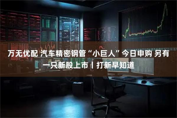 万无优配 汽车精密钢管“小巨人”今日申购 另有一只新股上市丨打新早知道