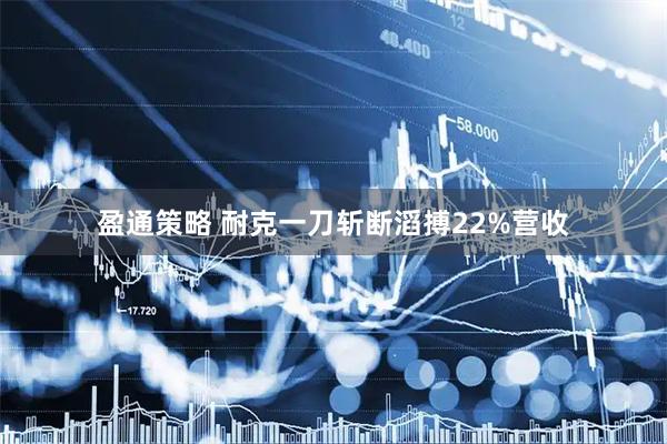 盈通策略 耐克一刀斩断滔搏22%营收